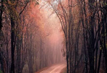 大连一方连胜收官，步入联赛前四