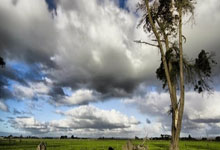 CBA球队备战决赛,力争夺魁