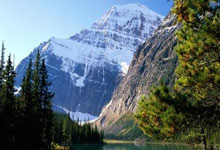 奥地利遭受意外失利，憾失欧锦赛决赛资格