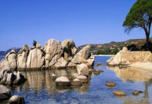 奥地利遭受意外失利，憾失欧锦赛决赛资格