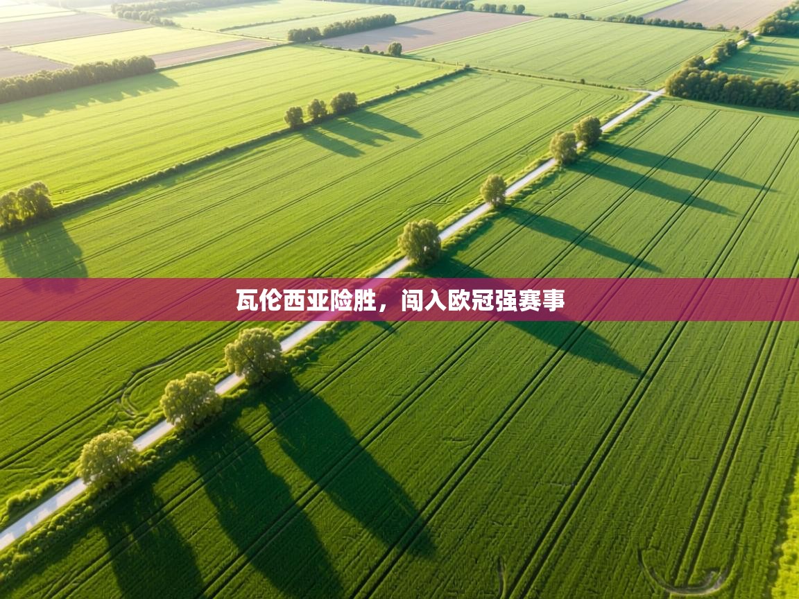 瓦伦西亚险胜，闯入欧冠强赛事  第1张