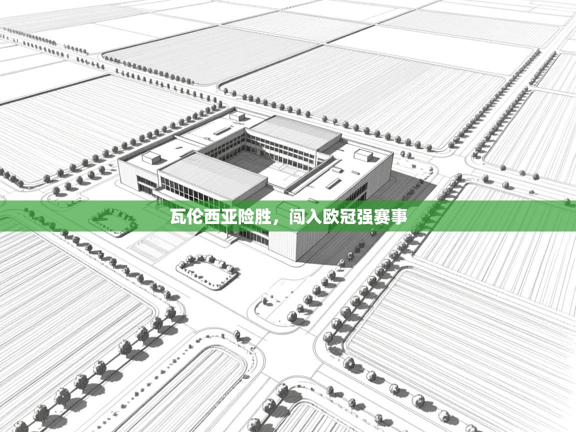 瓦伦西亚险胜，闯入欧冠强赛事  第2张